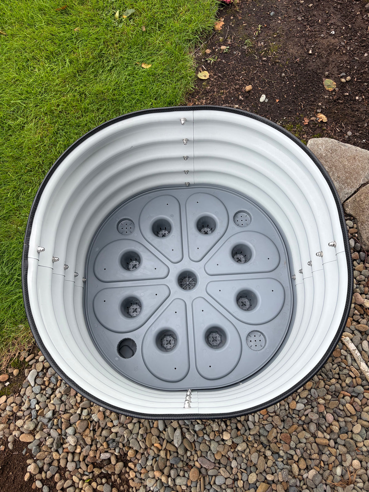 Vego Garden Self-Watering Rolling Citrus Tree Planter