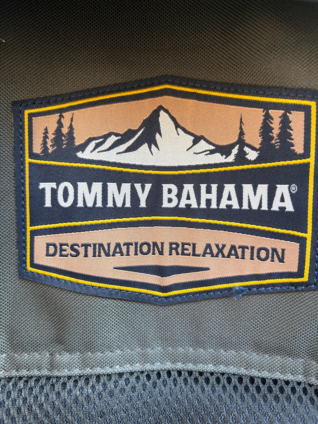Tommy Bahama Swinging Hammock Chair with Footrest